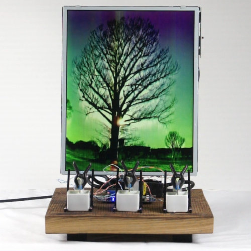 Unidentified Tree 2 | installation