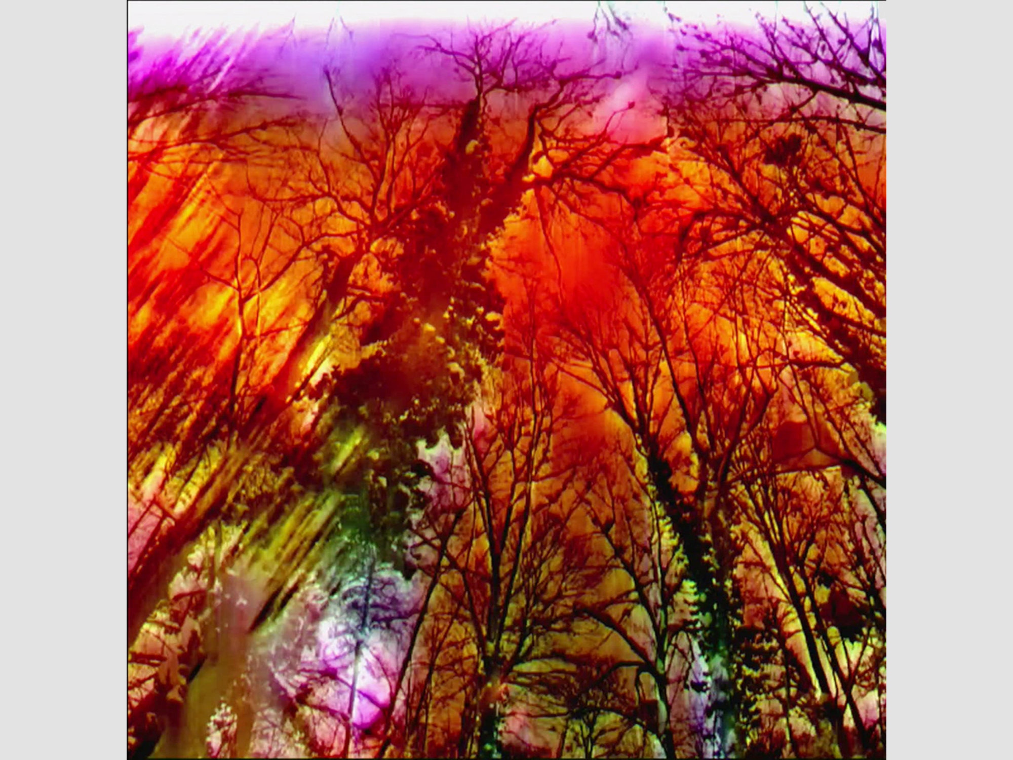 Paesaggio Piattaforma (Frame)