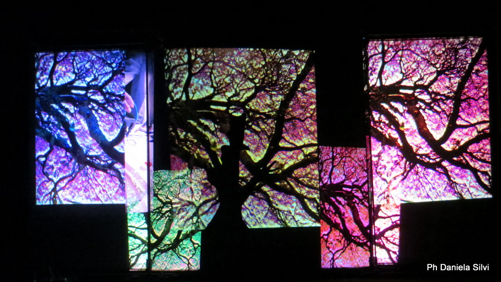 Like a Tree @ Teatro Lo Spazio - Roma