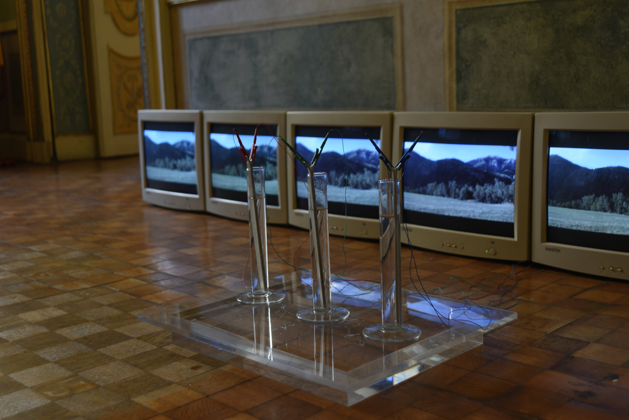 Schiuma d'onda (installazione) @ Complementi di luogo