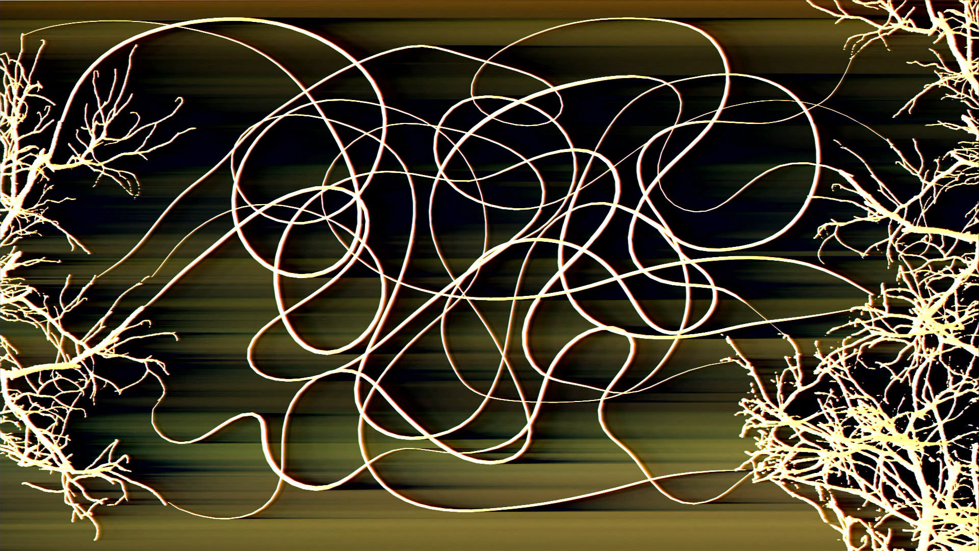 punctum contra punctum