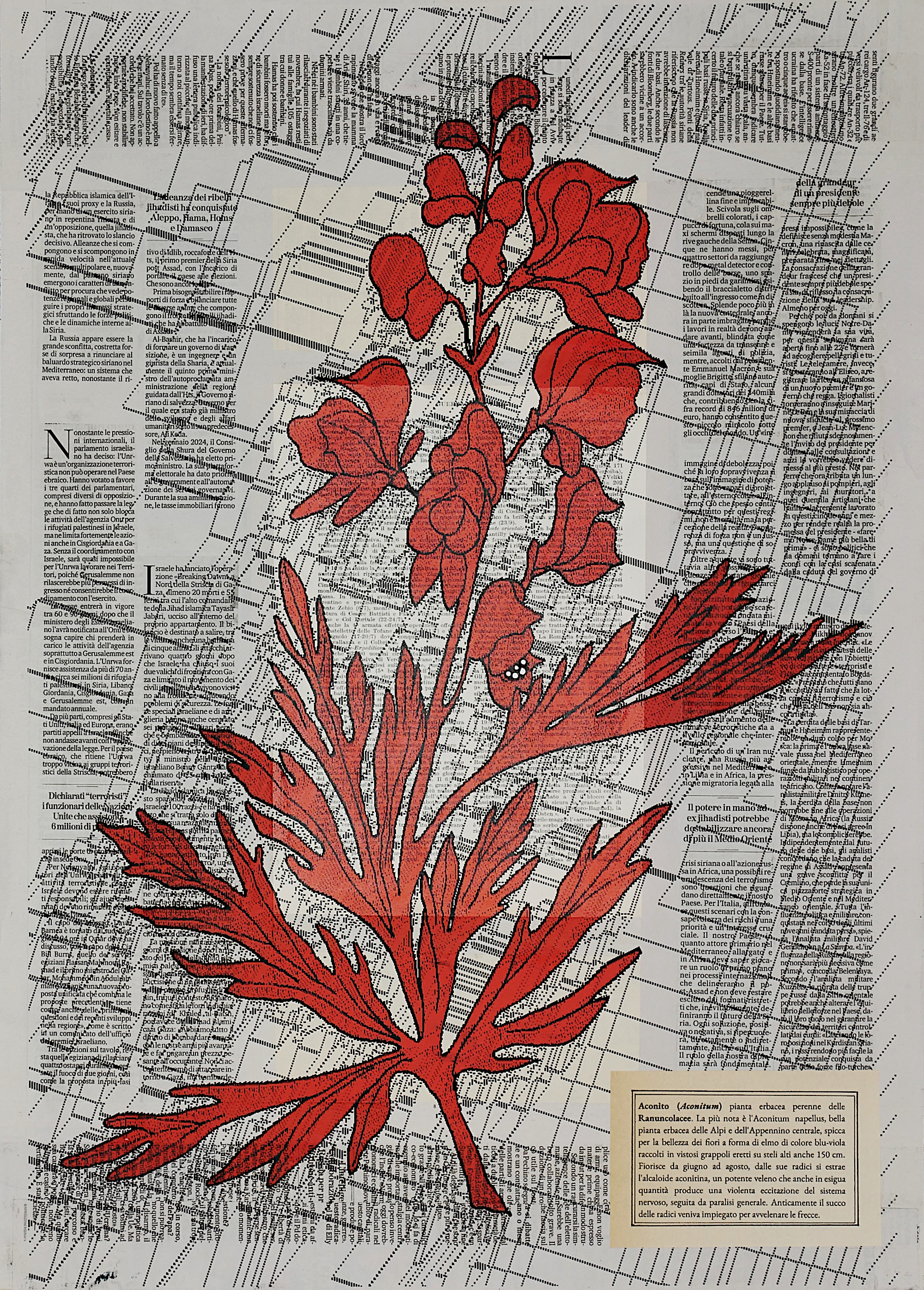 Executio in effige #guerramondiale #aconitum